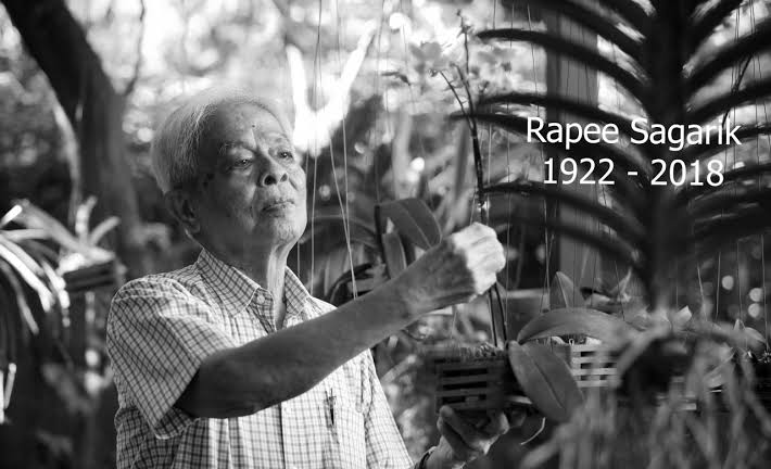 Professor Rapee Sagarik: Google Doodle celebrates the father of Thai orchids’ 97th birthday