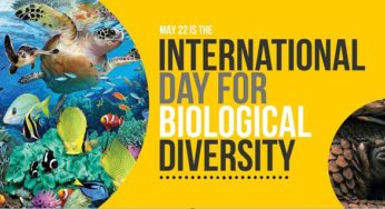 International Day for Biological Diversity 2019: Importance of Biodiversity Day and Theme
