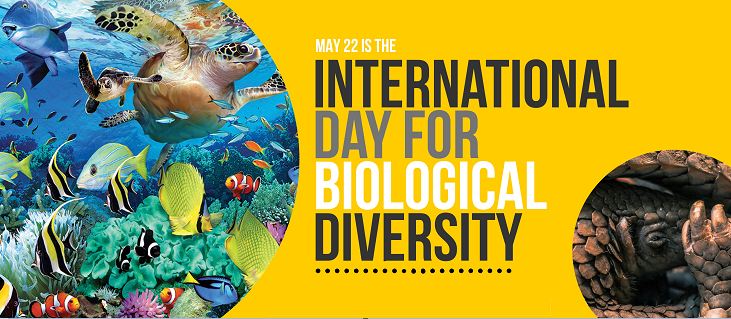 International Day for Biological Diversity