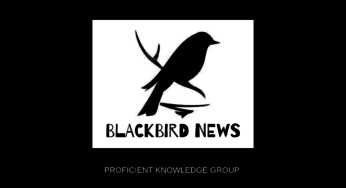 The G Studio Announces Strategic Name Change to Blackbird News