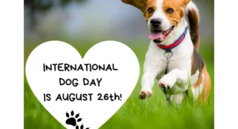 International Dog Day 2019: Why Dogs Are Superior To Cats, As Per Research