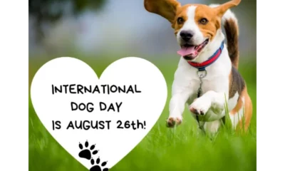 International Dog Day