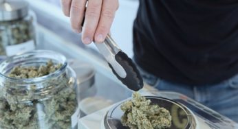 European Cannabis Legislation Could Create Incredible Opportunities for investors