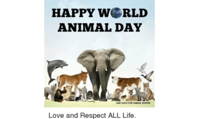 World Animal Day