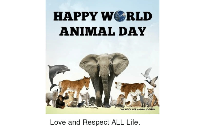 World Animal Day