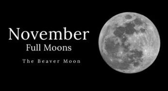 Beaver Moon 2019: Know everything about November Full Moon