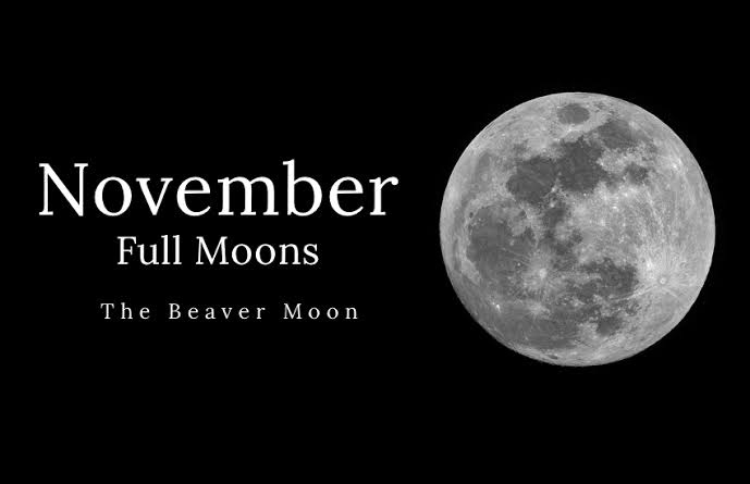 Beaver Full Moon November 2019