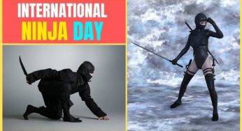 International Ninja Day 2019: What is Ninja?