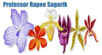 Professor Rapee Sagarik: Google Doodle celebrates the father of Thai orchids’ 97th birthday