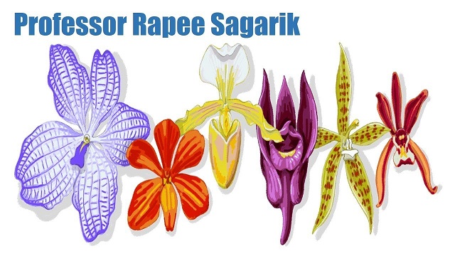 Professor Rapee Sagarik Google Doodle