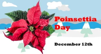 Why Poinsettia Day is celebrated, know the history behind it