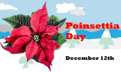 Why Poinsettia Day is celebrated know the history behind it