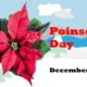 Why Poinsettia Day is celebrated know the history behind it