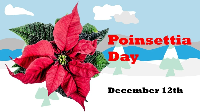 Why Poinsettia Day is celebrated know the history behind it