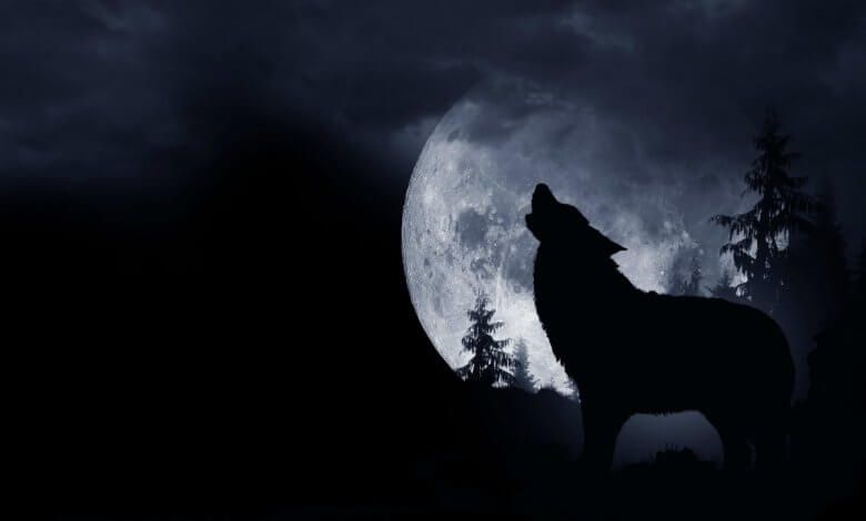 https://timebulletin.com/wp-content/uploads/2020/01/January-Full-Wolf-Moon-2020.jpg
