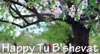 Tu B’Shevat 2020: Here is everything you need to know about Tu BiShvat