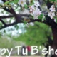 Happy Tu Bshevat