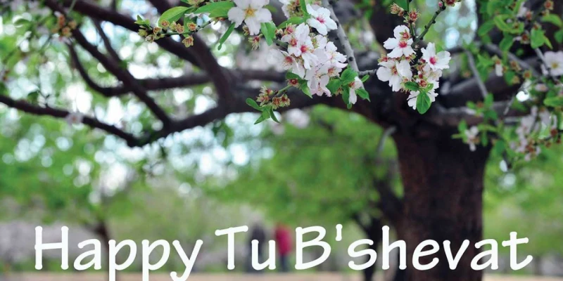 Happy Tu Bshevat