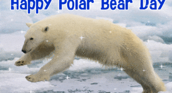 International Polar Bear Day 2020: History and Importance of Polar Bear Day