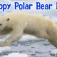 International Polar Bear Day 1