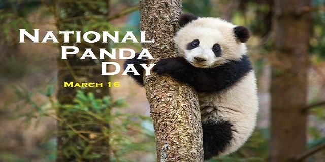 Panda Day