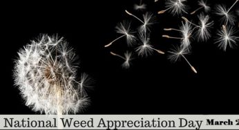 Weed Appreciation Day 2020: Know everything about the national day