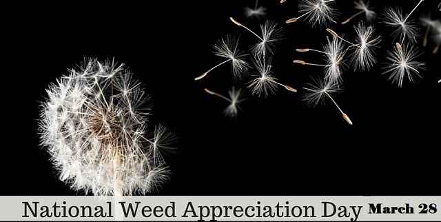 weed appreciation day