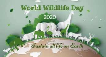 World Wildlife Day 2020: History, Significance, and Theme of Wildlife Day