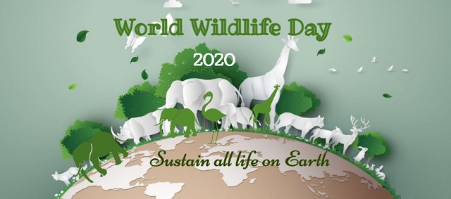 world-wildlife-day-2020