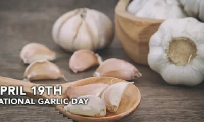 National Garlic Day