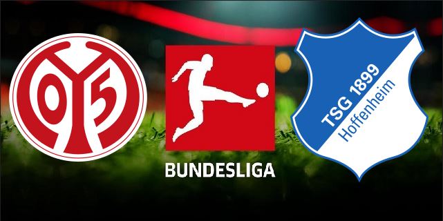 FSV Mainz 05 vs TSG Hoffenheim German Bundesliga 2019 20