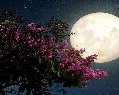 May Full Moon Super Flower Moon