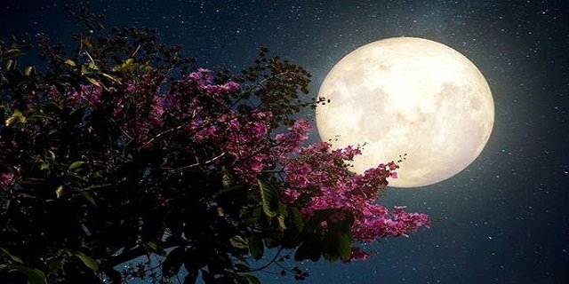 May Full Moon Super Flower Moon