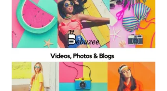 What is Bebuzee used for?