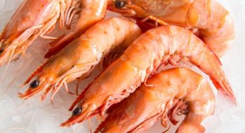 Seafood Buffet 101 –Benefits of Eating Prawns
