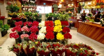 Best Florists in Perth