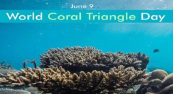 What is the Coral Triangle? History and Significance of the Coral Triangle Day