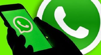 Steps to download WhatsApp stickers via Android and iPhone