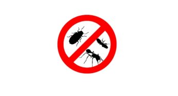 Call Pest Control Professionals before it gets too late