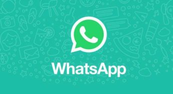 How to use the ‘Search the web’ feature on WhatsApp