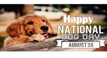 International Dog Day 2020: History and Significance of National Dog Appreciation Day