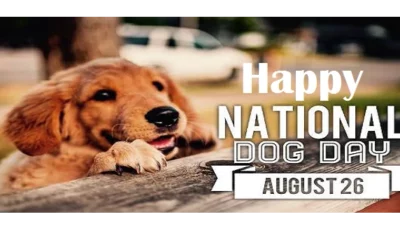 International Dog Day 1