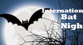International Bat Night 2020: How the Dark Knights support global environmental conservation