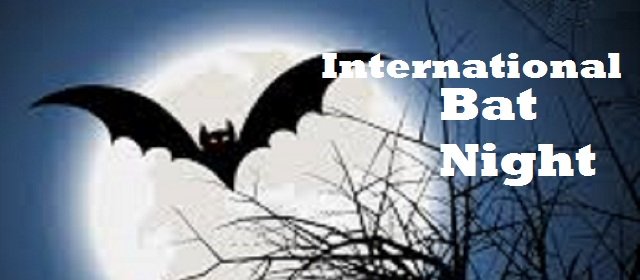 International bat night