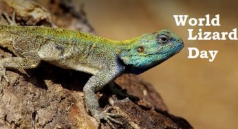 World Lizard Day 2020: History and Significance of the day