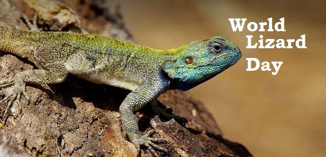 World Lizard Day