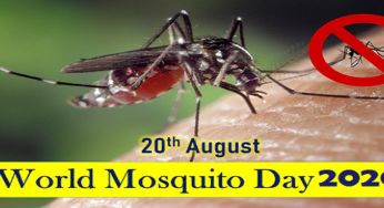 World Mosquito Day 2020: History and Significance of the day