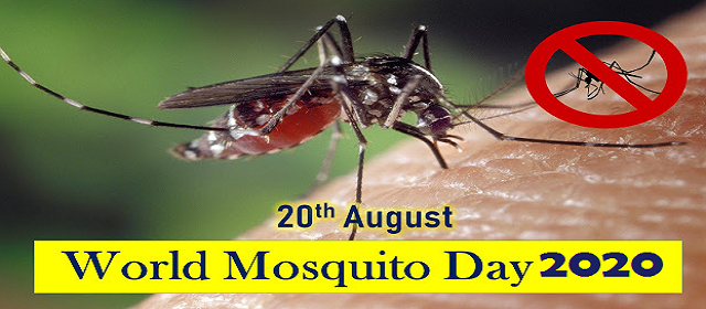 World Mosquito Day