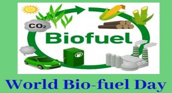 World Biofuel Day 2020: History and Significance of the day