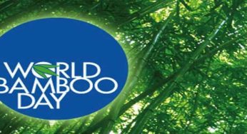 World Bamboo Day 2020: History and Significance of the day